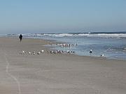 St. Augustine - Jan 2012 095